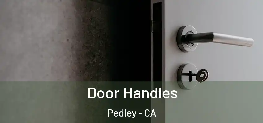  Door Handles Pedley - CA