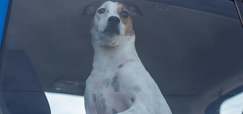 Car Lockout Solutions in Pedley, California