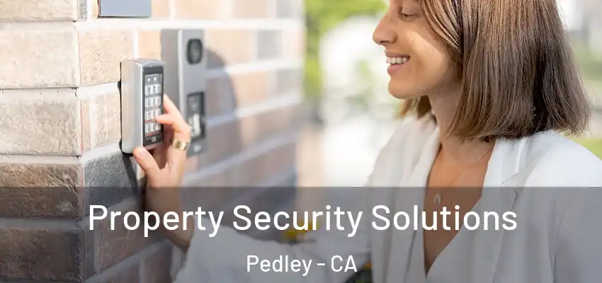  Property Security Solutions Pedley - CA